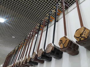 西安乐器展往届精彩回顾